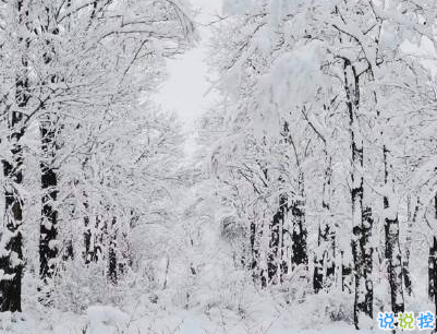 下雪天朋友圈唯美说说配图 下雪了说说简短一句话9