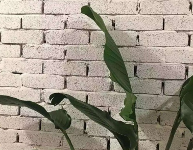 自己心累难受的说说 日后你所有的好坏都与我无关2