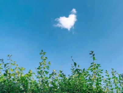 追女生的情话短句 感动女孩子到哭的情话2