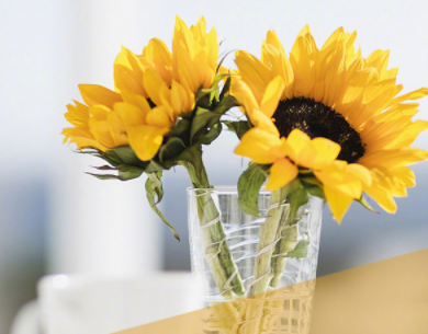 描写闺蜜友谊的唯美句子 超暖心的友情句子简短好听1