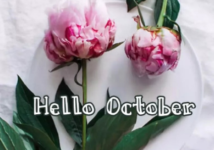 2019十月励志说说致所有人 十月你好励志说说大全1
