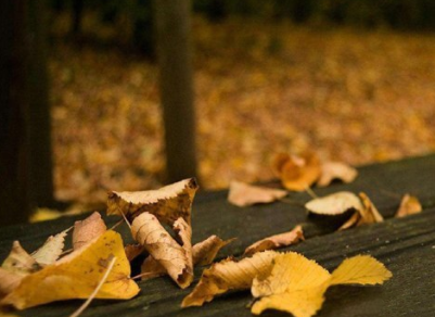 婚姻不幸福的说说朋友圈 婚后心好累的句子20191