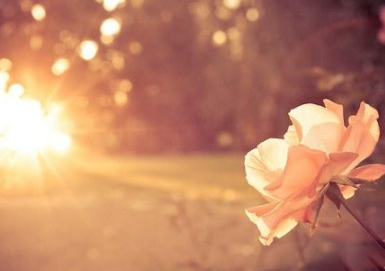 婚姻不幸福的说说朋友圈 婚后心好累的句子20192